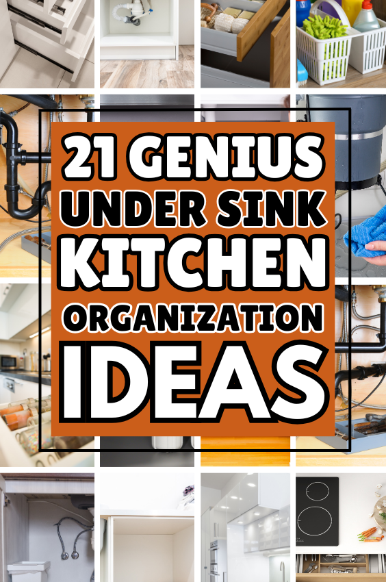 21+ Genius Under The Sink Kitchen Organization Ideas