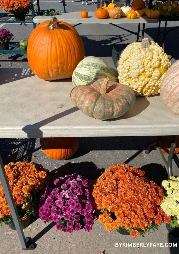 21+ Insanely Cute Fall Mantle Decor Ideas You Will Love